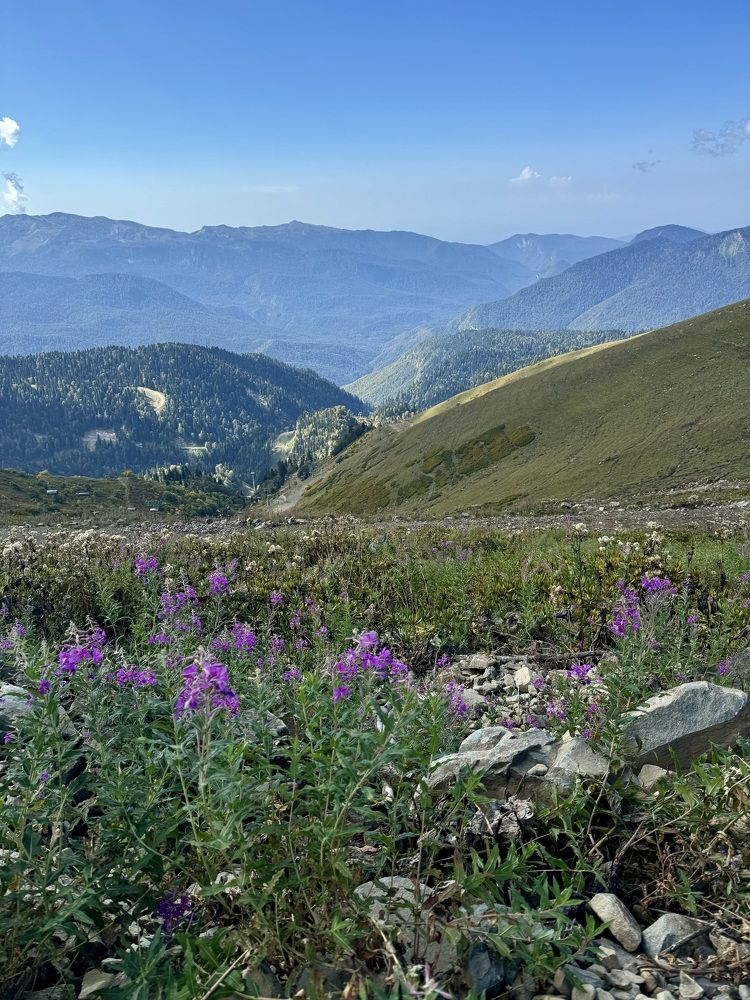 Photograph by Елена Смирнова