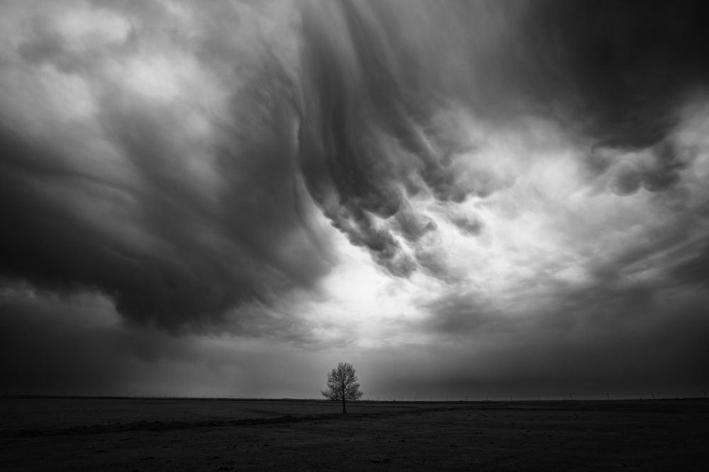 Photograph by Chen Chen