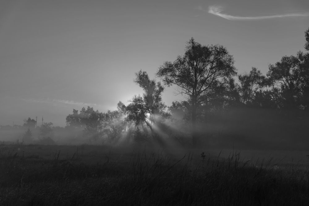 Photograph by Алексей