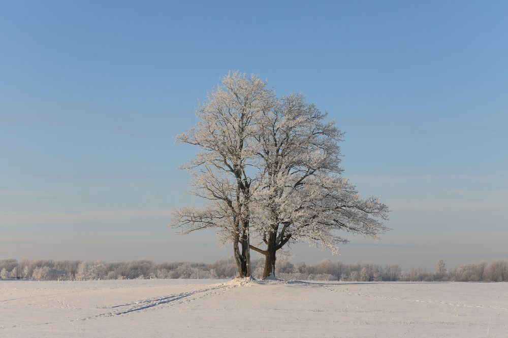 Photograph by Владимир Грибков