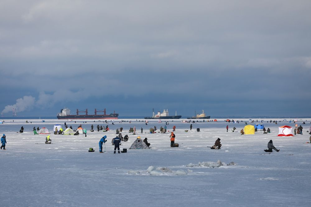 Photograph by Владимир Грибков