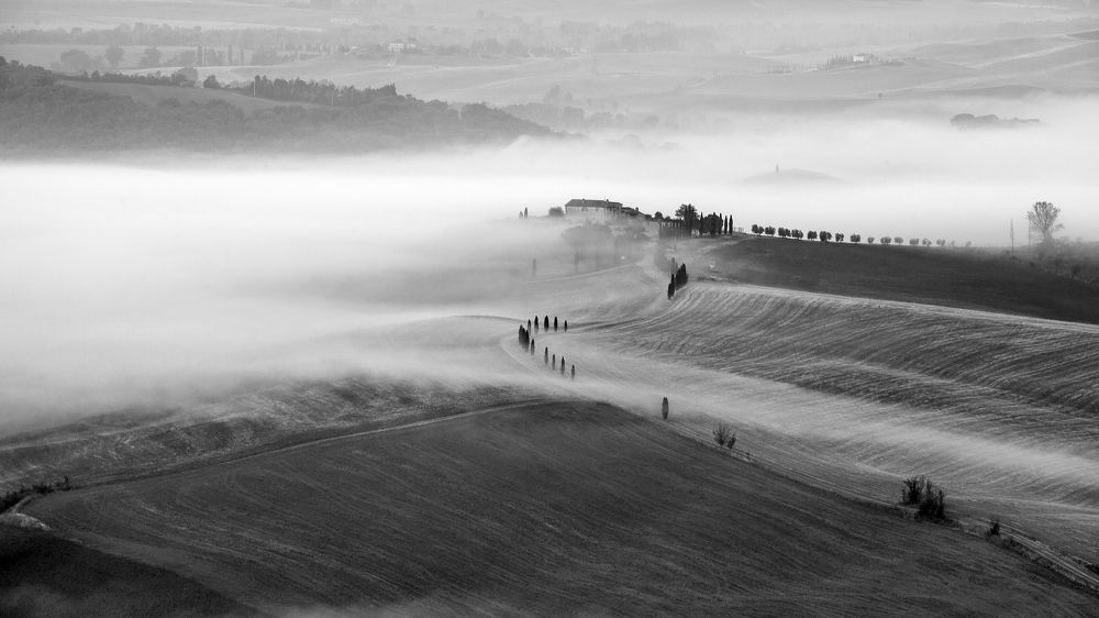 Photograph by Игорь Соколовский