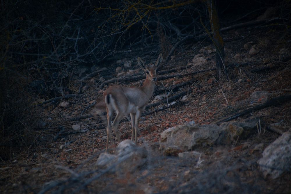 Photograph by Дарья Эпштейн