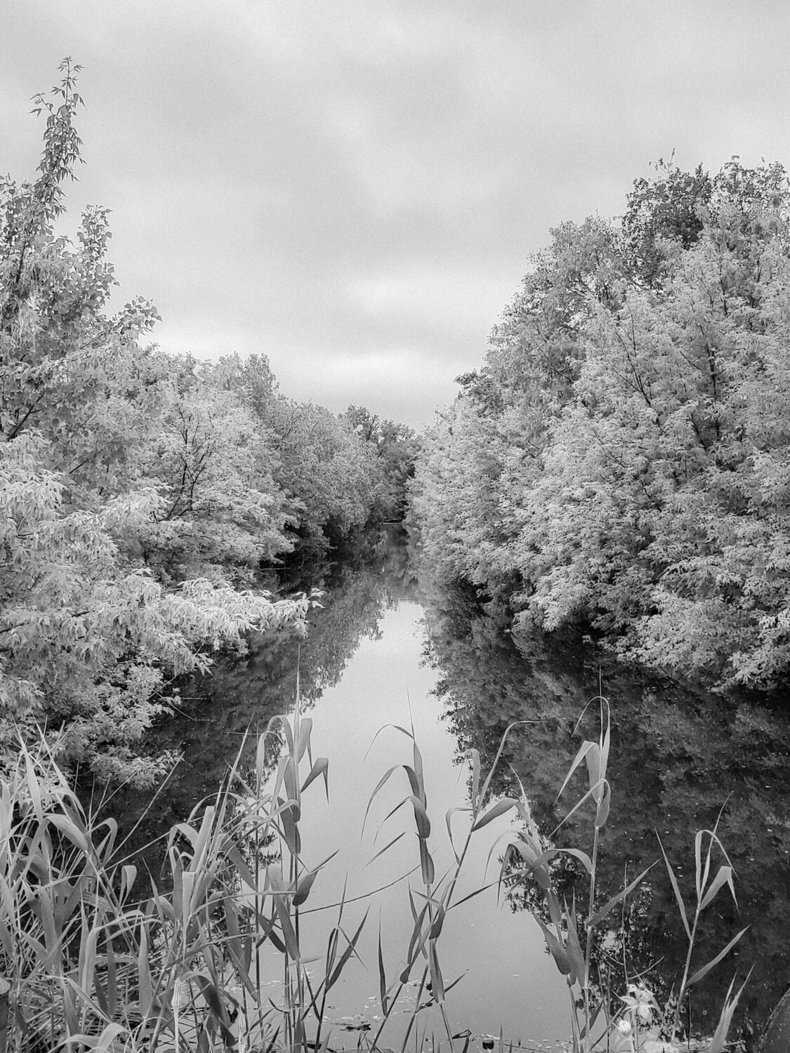 Photo #11530825