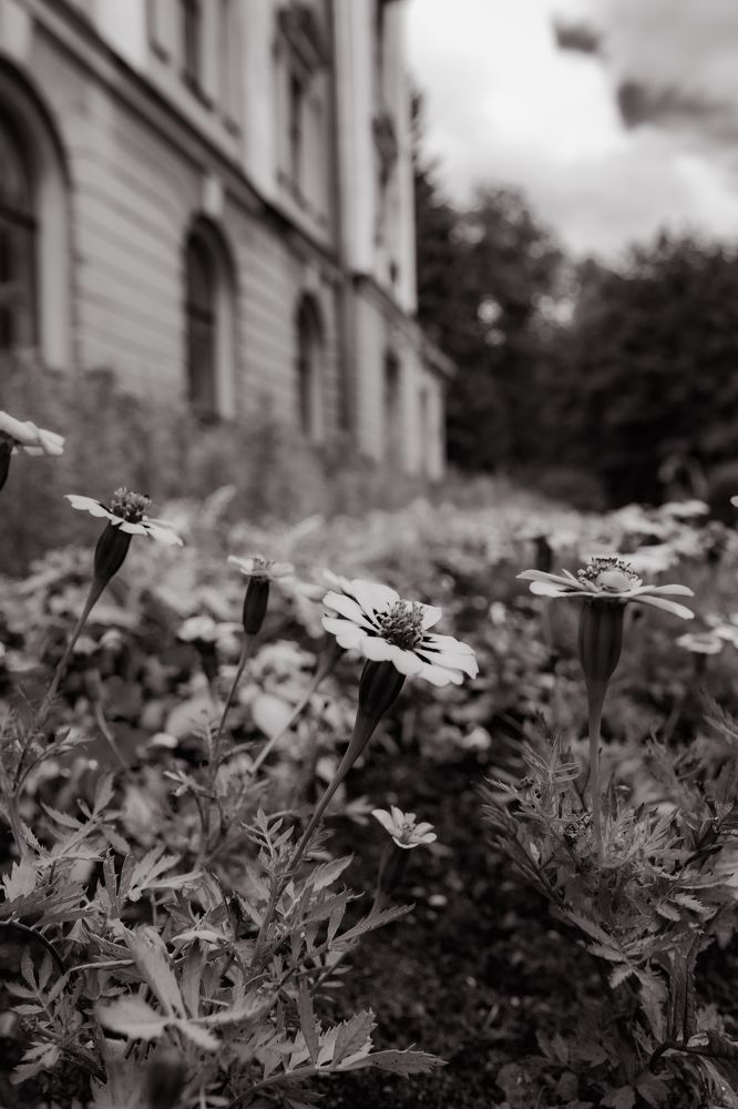 Photograph by Сергей Аникушин