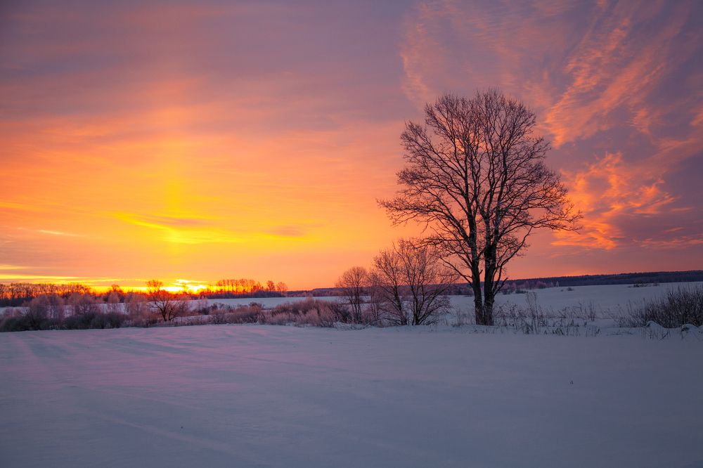 Photograph by andrei zorin