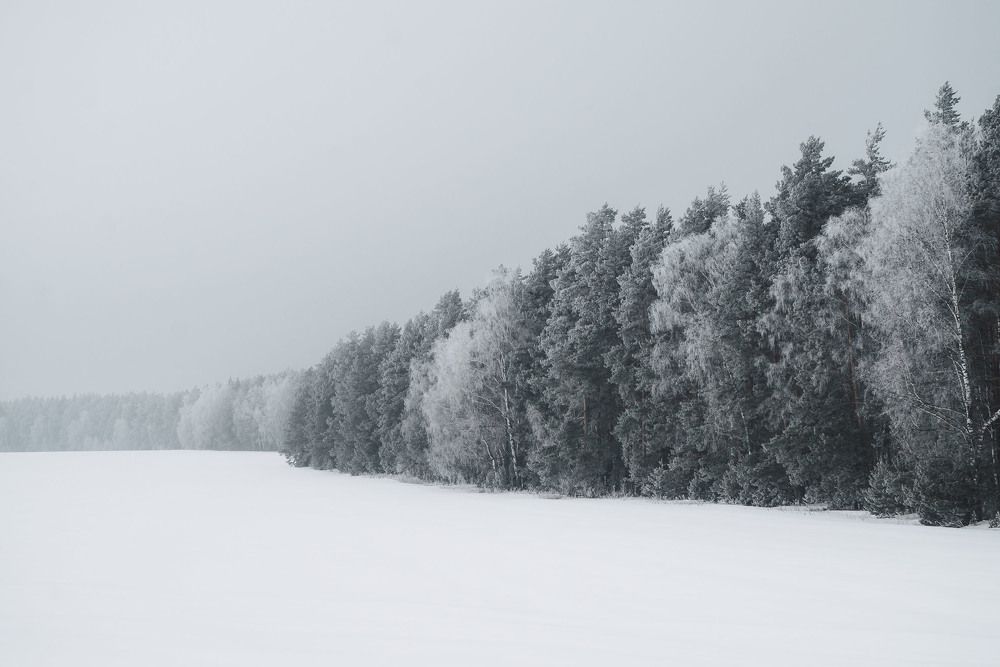 Photograph by Ольга Лобачёва