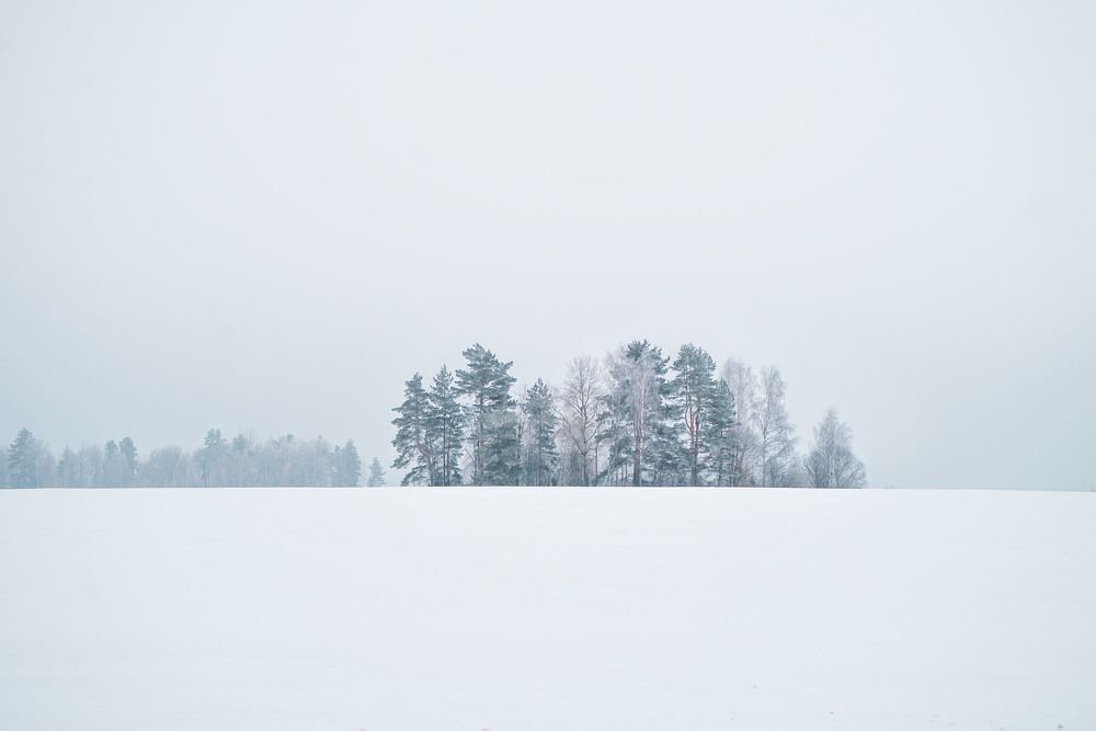 Photograph by Ольга Лобачёва