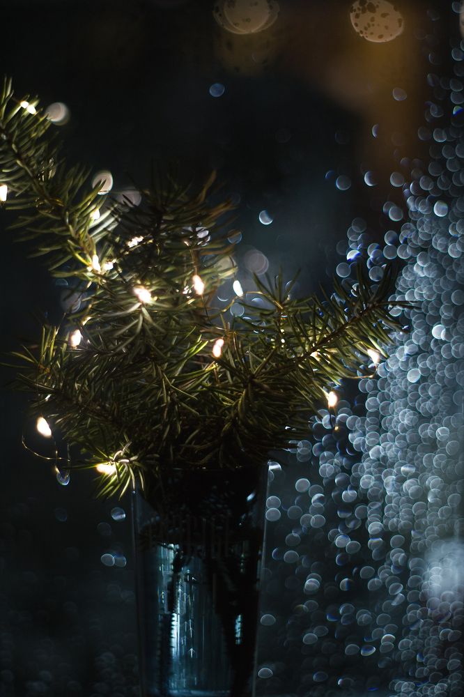 Photograph by Татьяна Псенкова