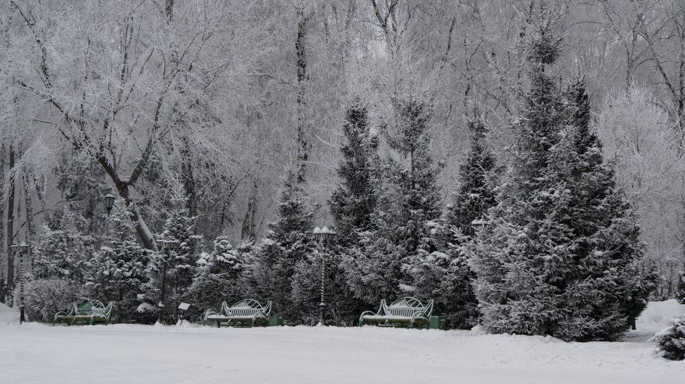 Photograph by Антон Викторович