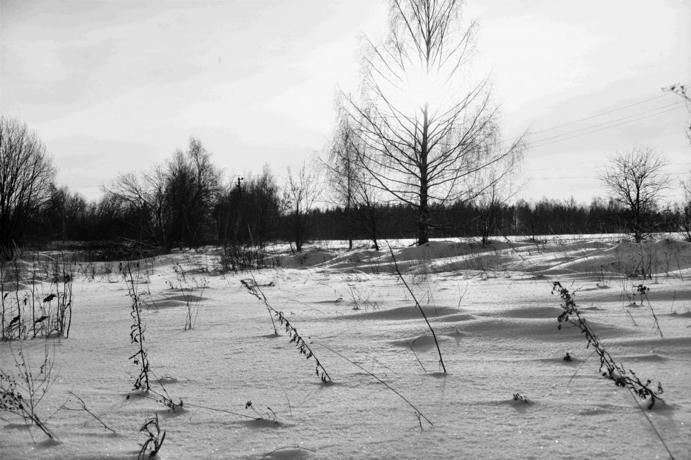 Photograph by Николай Абакумов