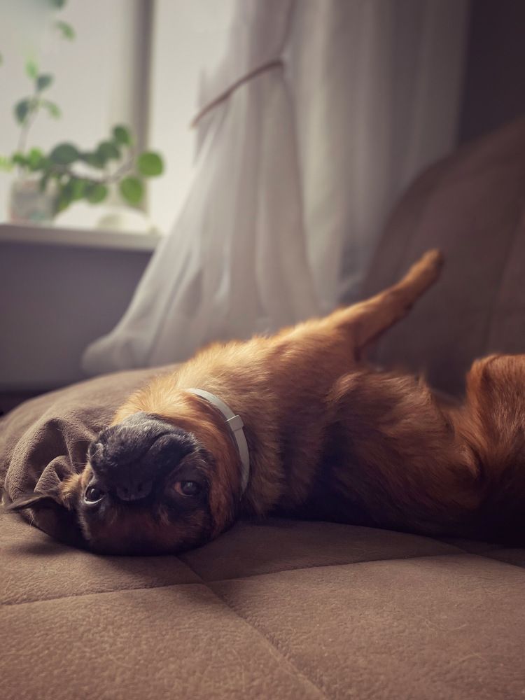 Photograph by Ольга Дорошенко