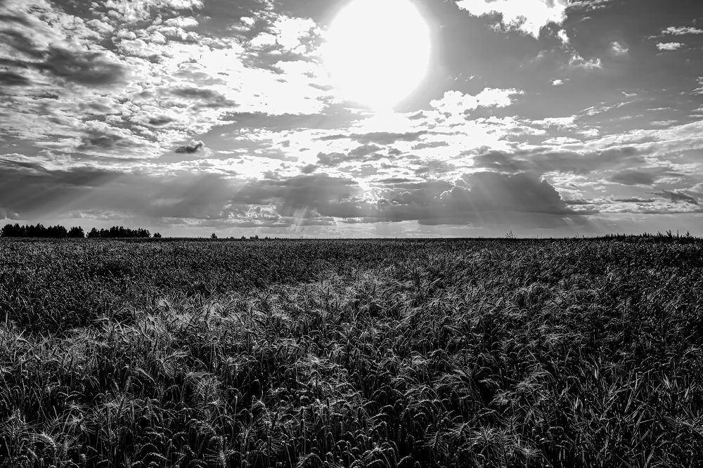 Photograph by Артём Воронин