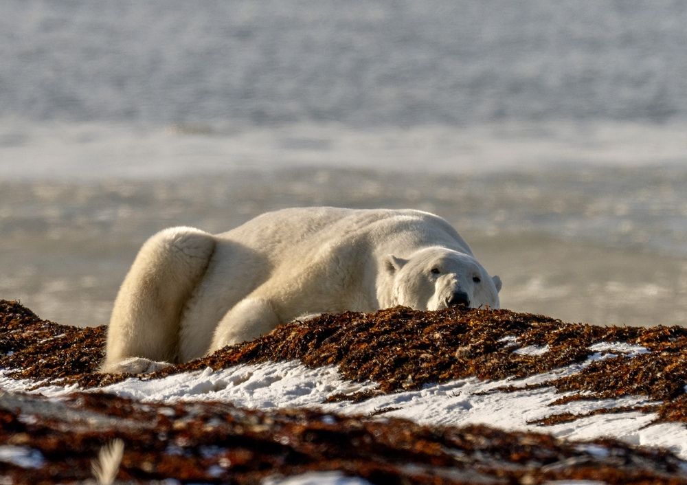 Photograph by Владимир Цветов
