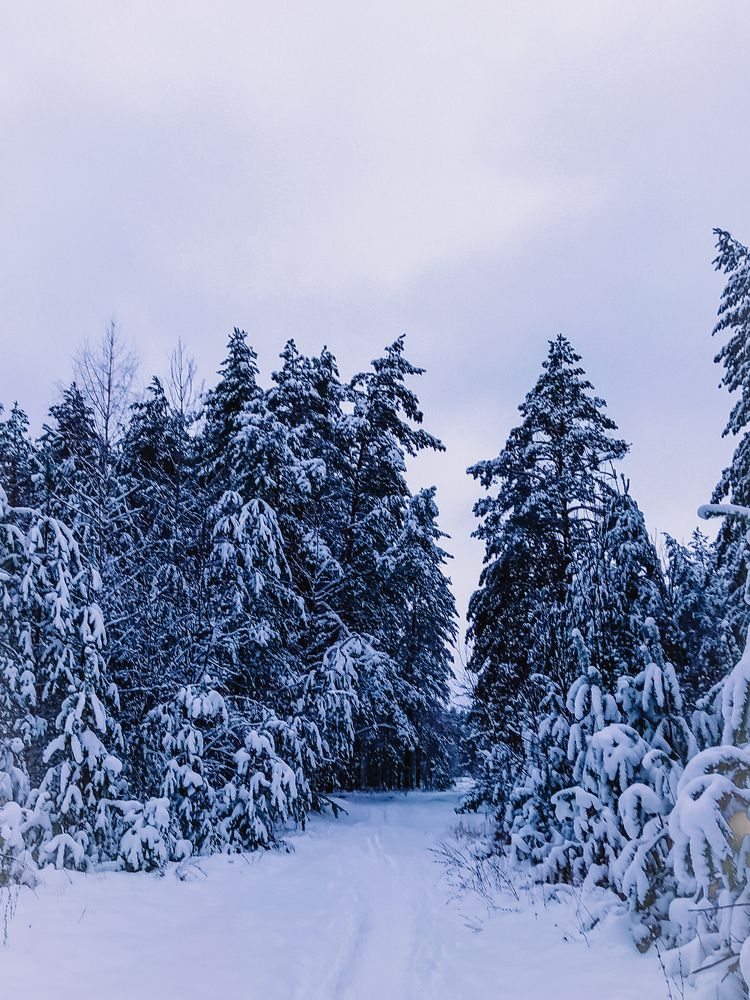 Photograph by Олеся Бронзова