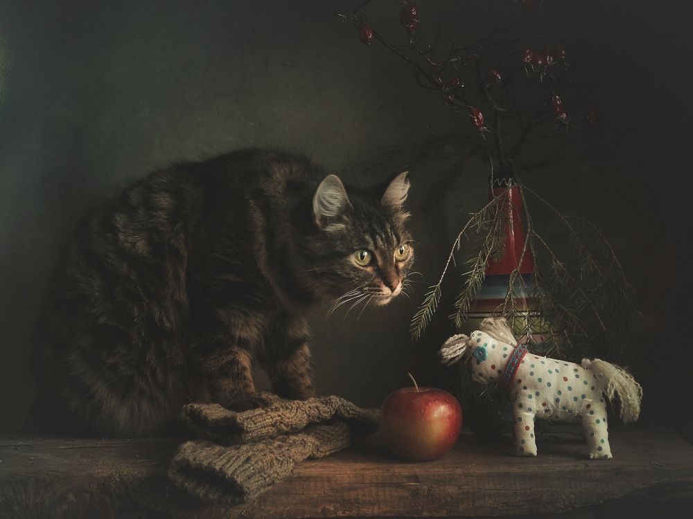 Тихий зимний вечер