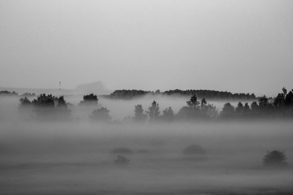 Photograph by Анастасия Гурова