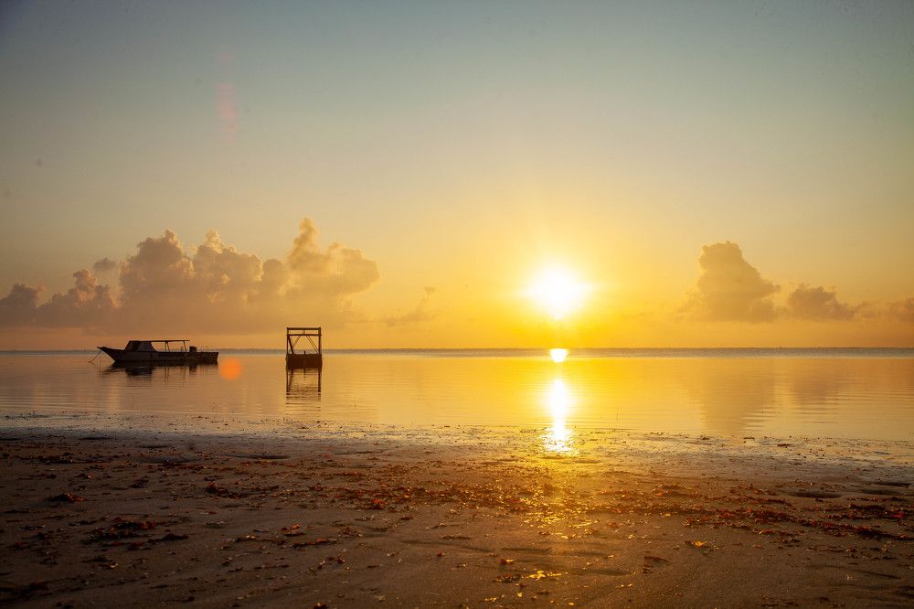 SUNRISE
