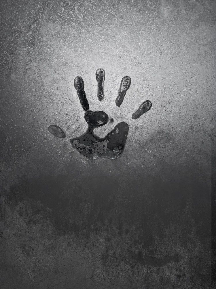 Фотография автора Екатерина Дейман