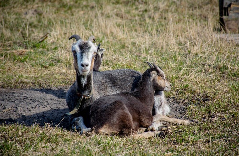 Photograph by Елена Царёва
