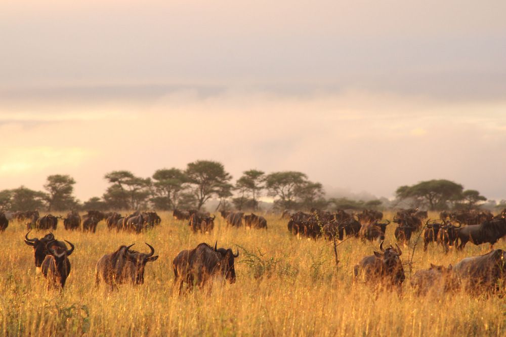 Photograph by Magassa Photography