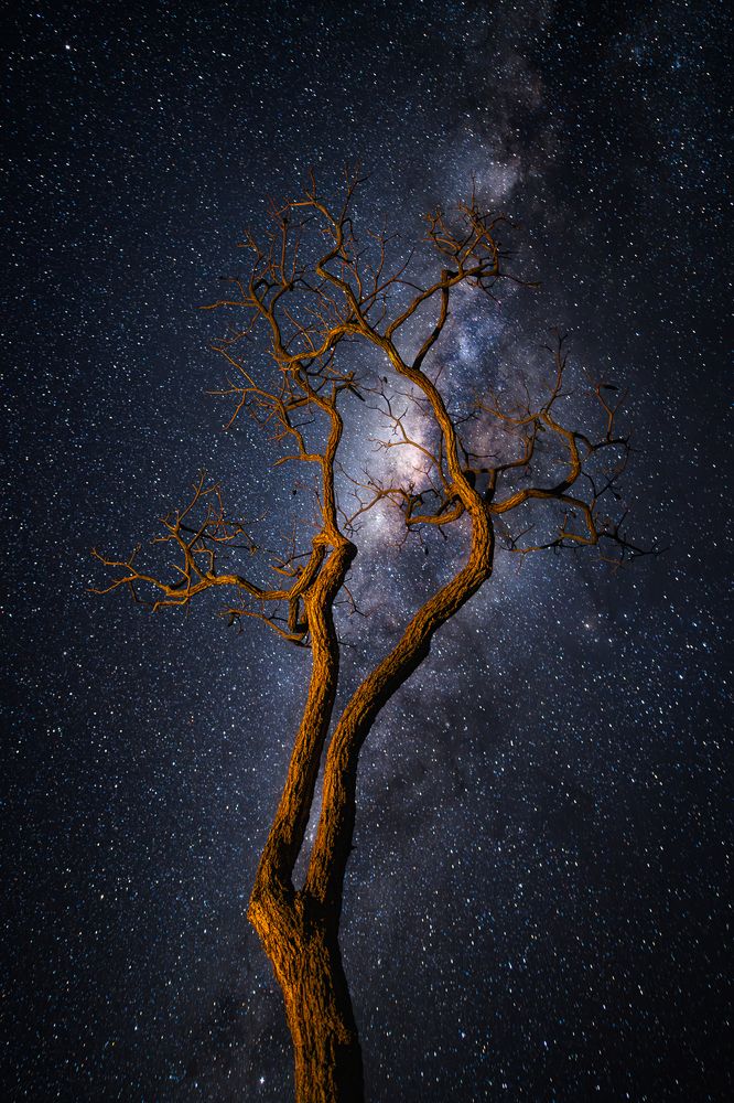 Photograph by PEDRO PARZZANINI