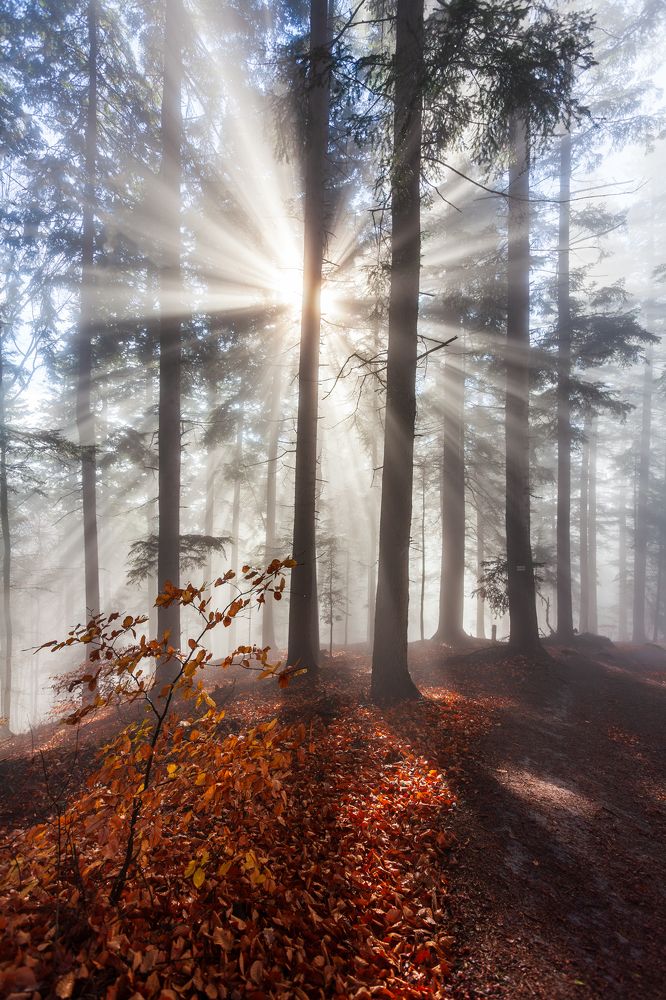 Photograph by Mirosław Pruchnicki