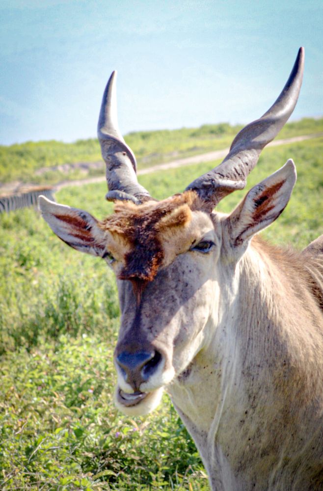 Photograph by Magassa Photography