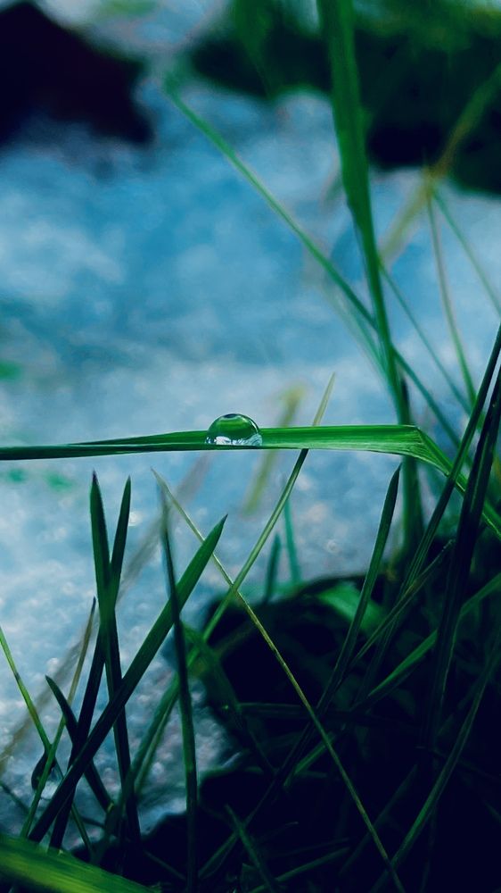 Photograph by Максим Азарчик