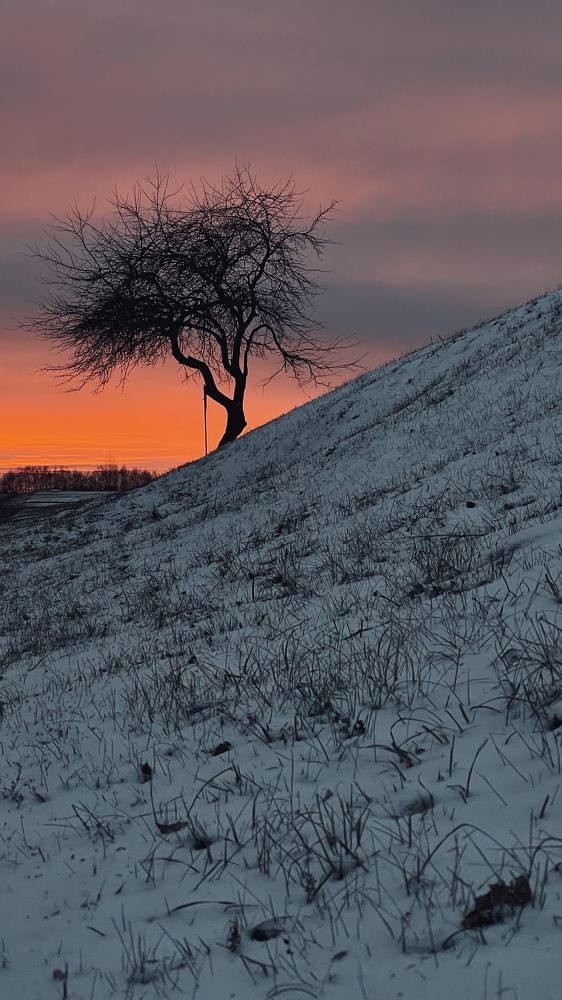 Photograph by Максим Азарчик