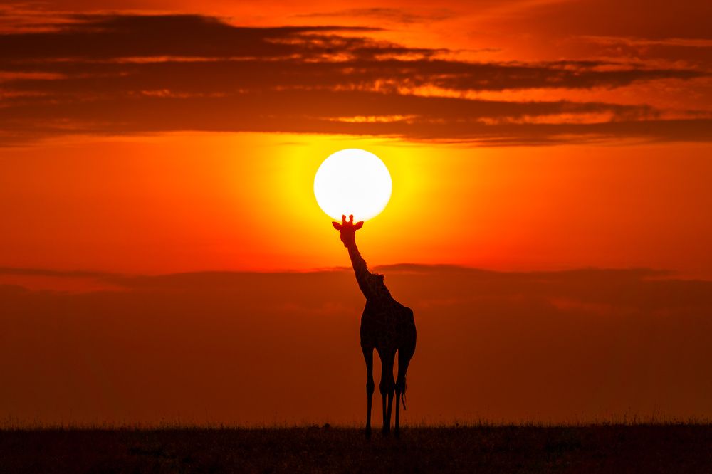 Photograph by Jayakumar MN