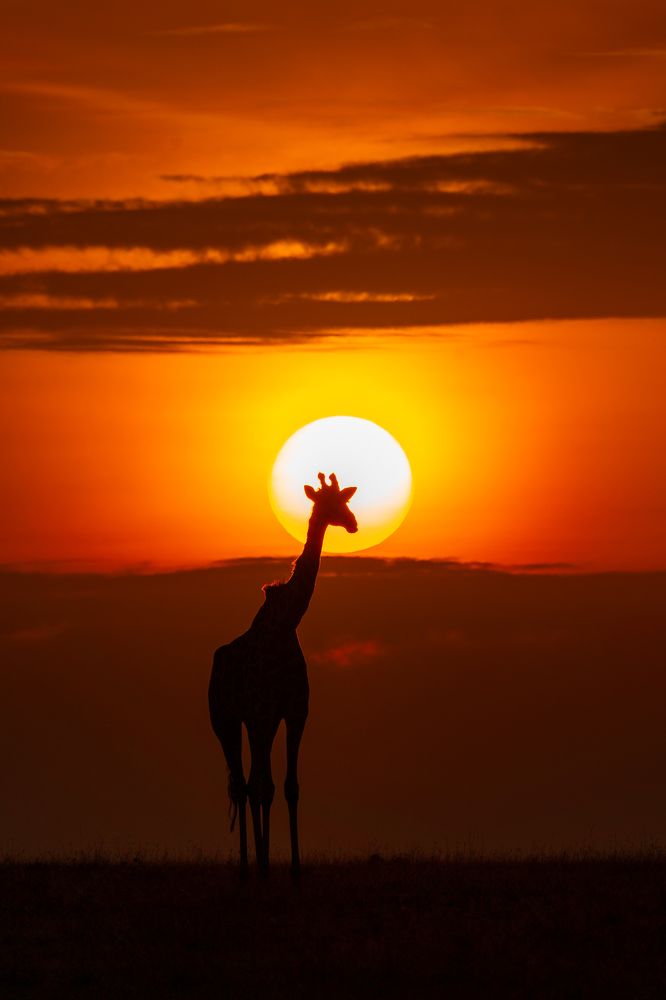 Photograph by Jayakumar MN