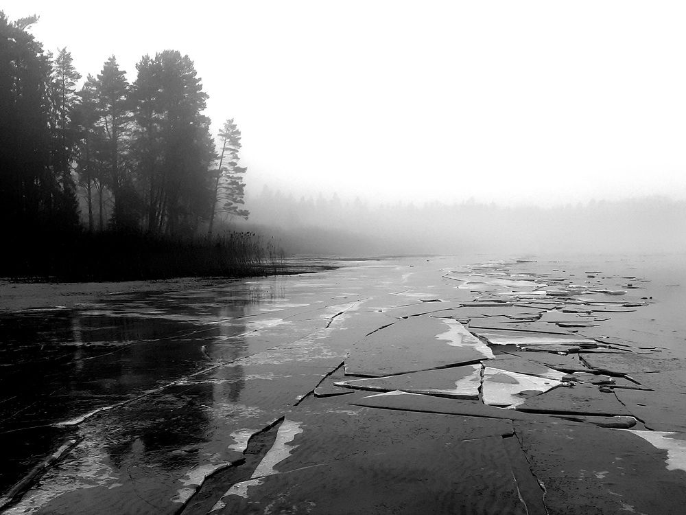 Photograph by Юрий Пучков