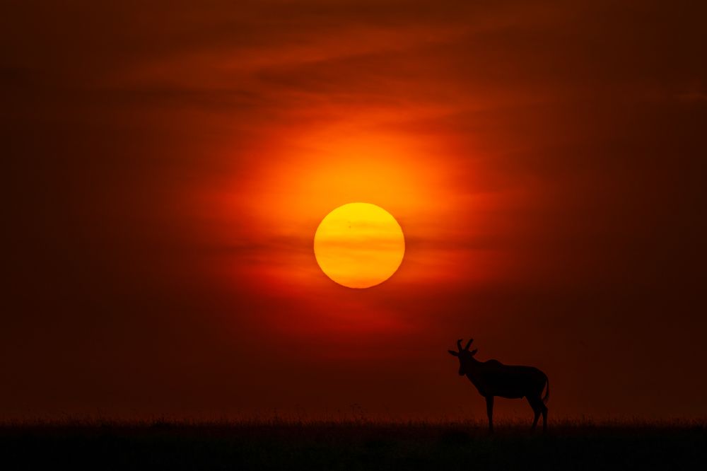 Photograph by Jayakumar MN