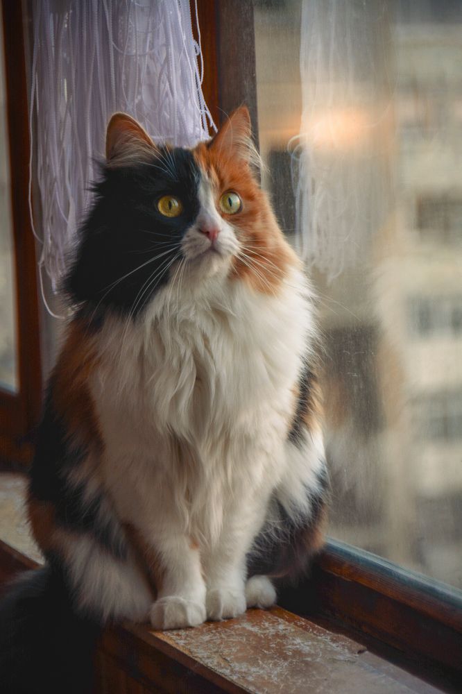 Photograph by Victor Mylov