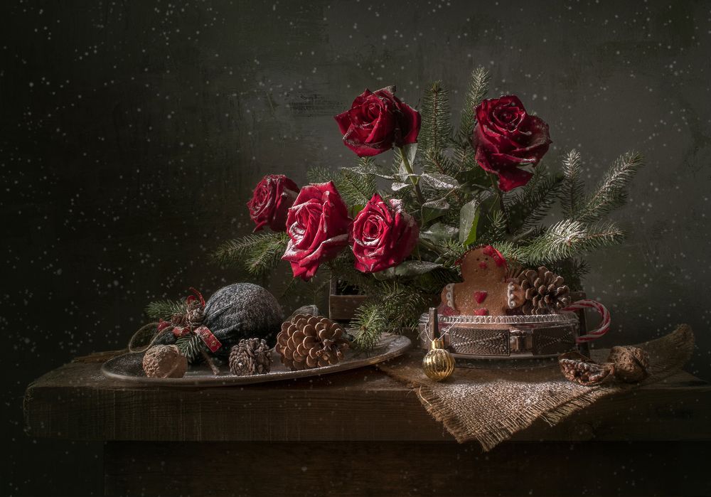 Фотография автора Шипунова Ирина