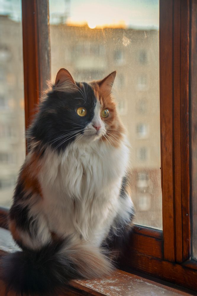 Photograph by Victor Mylov