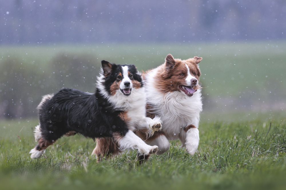 Photograph by Шитиков Владимир