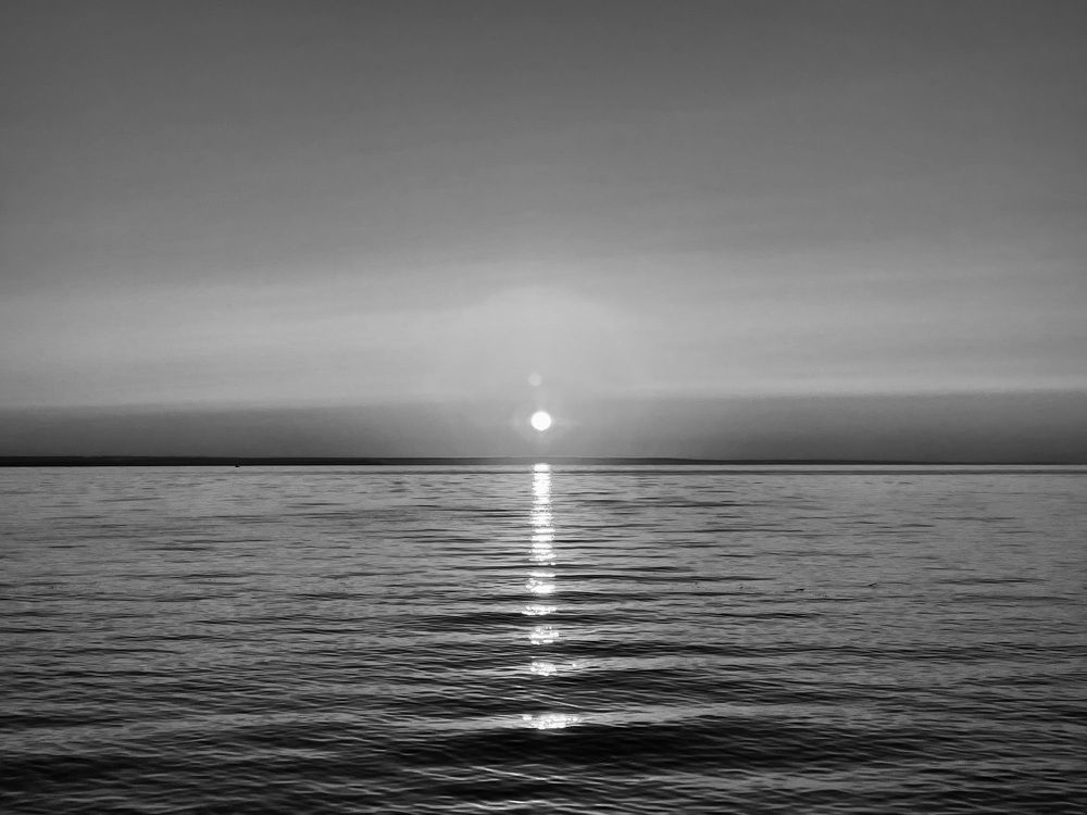 Photograph by Полина Рыжакова