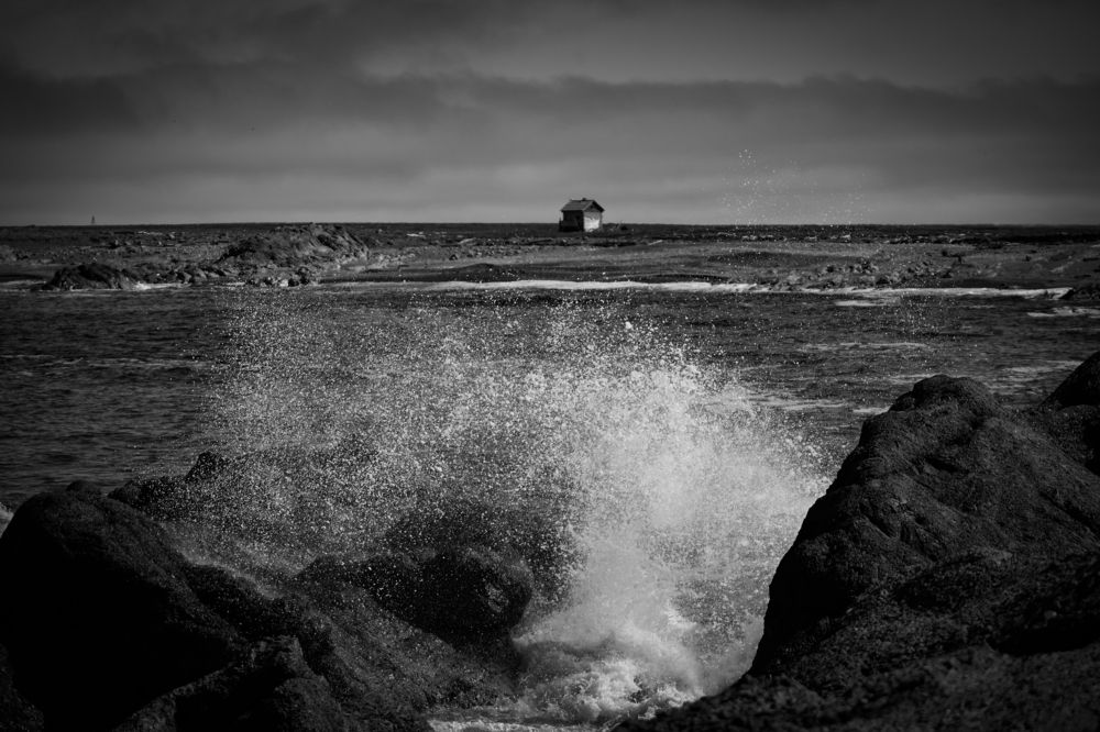 Photograph by Oleg Bogomolov