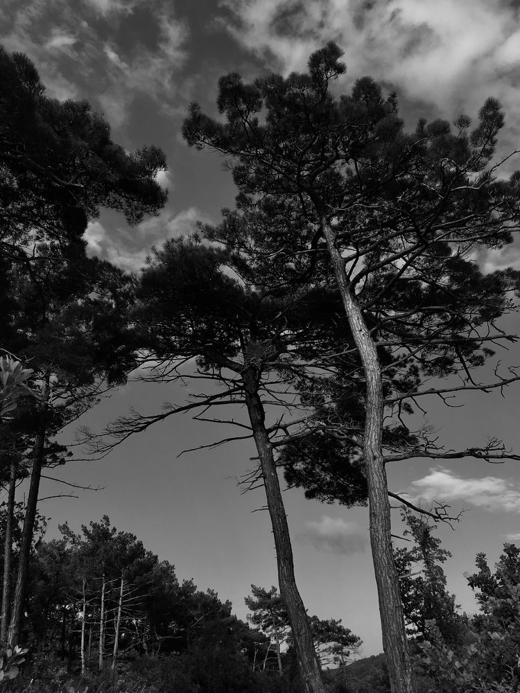 Photograph by Полина Рыжакова