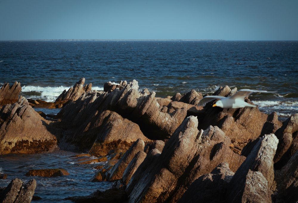 Photograph by Oleg Bogomolov