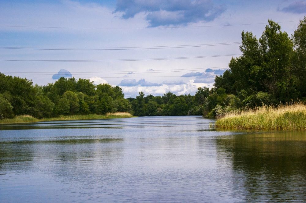 Photograph by Галчонок Ахмерова