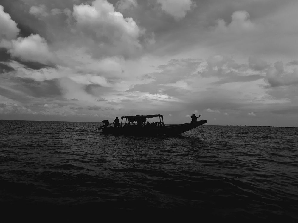Photo #11531665