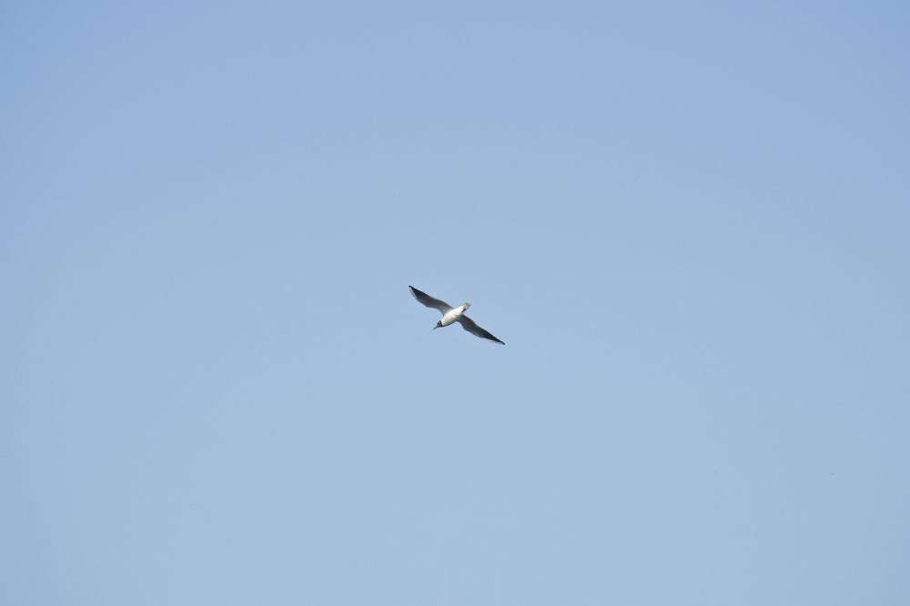 Photograph by Роман Гуров