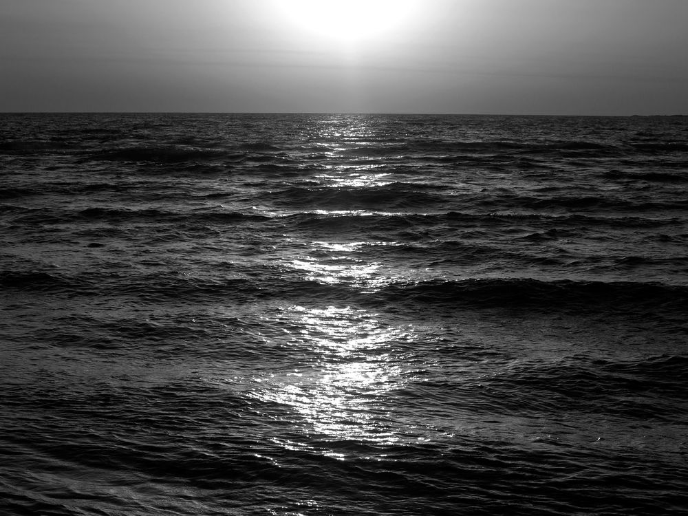 Photograph by Abdolreza Aleagha