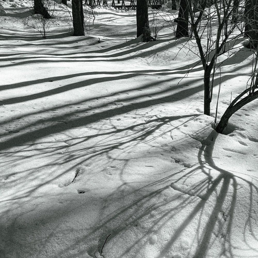 Photograph by Надежда