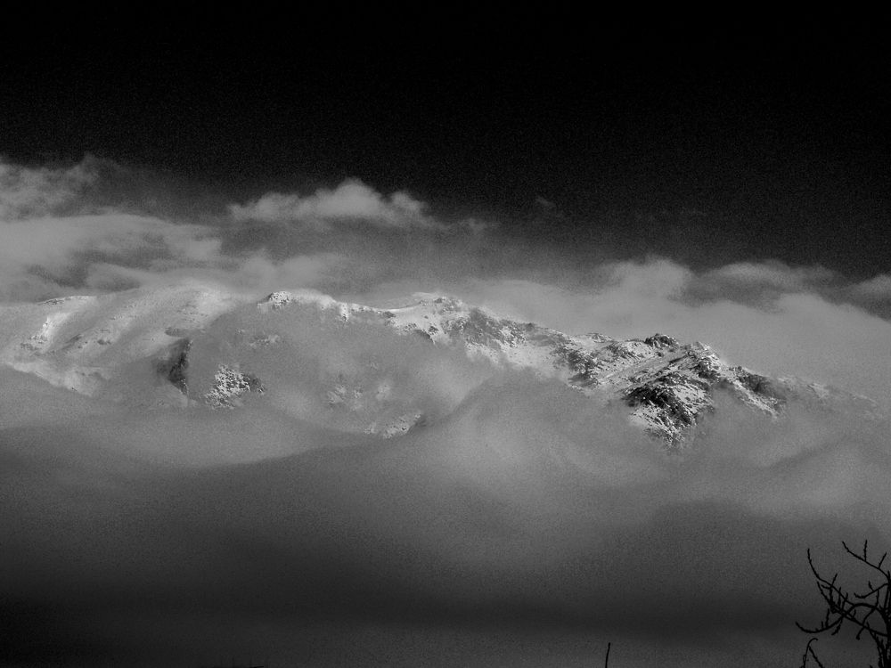 Photograph by Abdolreza Aleagha