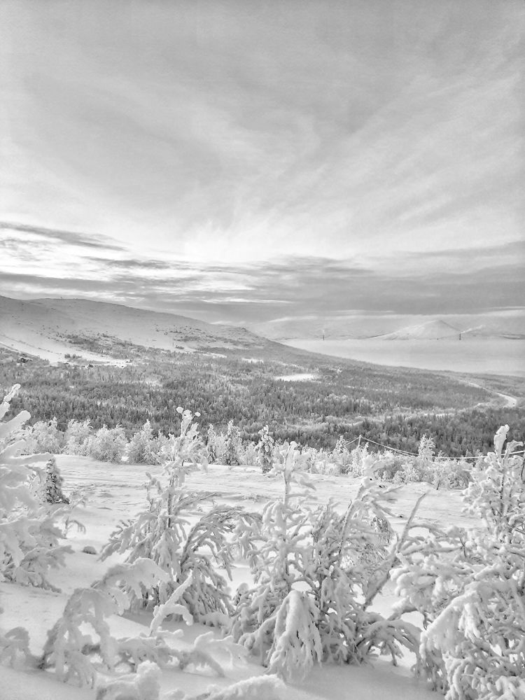 Photograph by OLGA MIKHNEVICH