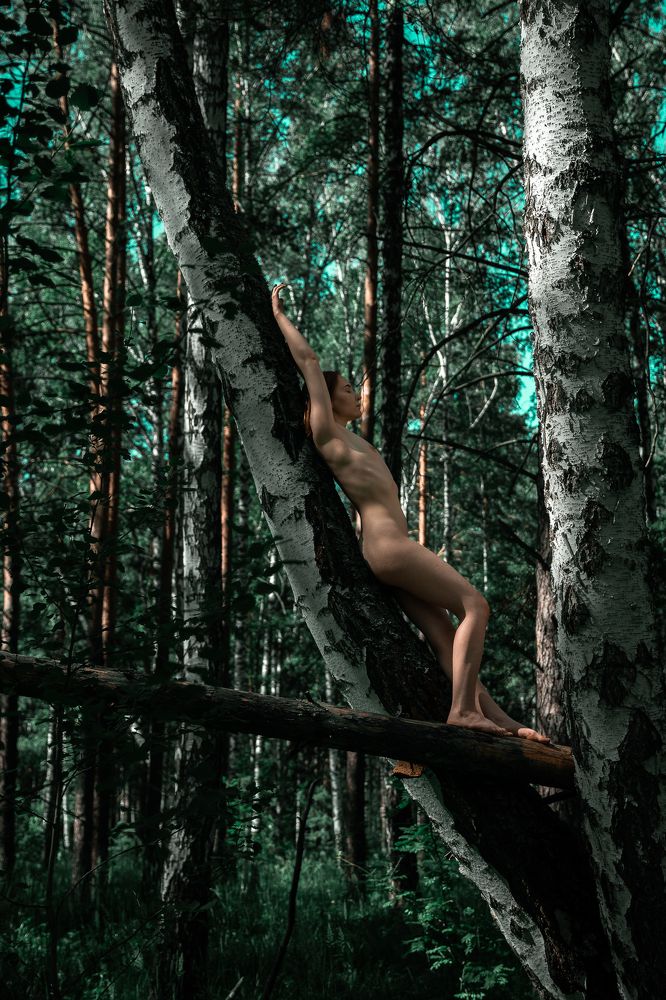 Фотография автора Иван Киямутдинов